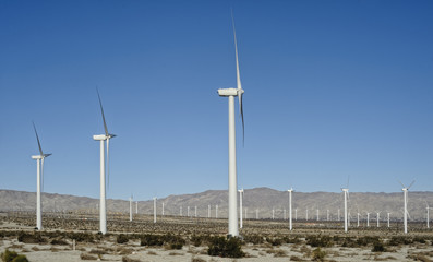 palm desert wind farm