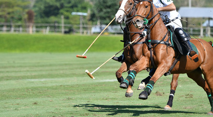 horse speed in polo match