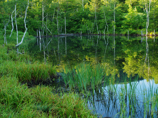 Obraz premium 乗鞍の風景