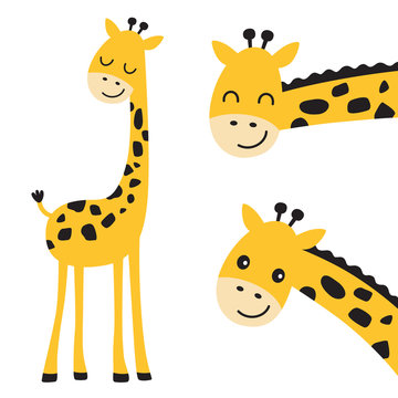 Cute smiling and peeking giraffe vector illustration.