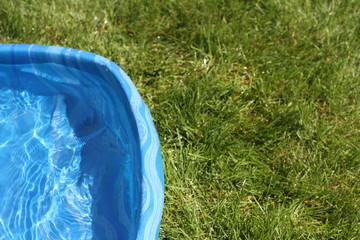 Backyard Kiddie Pool on Grass - 213306231