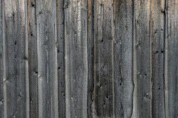 Fototapeta premium Fence of old unpainted boards background closeup