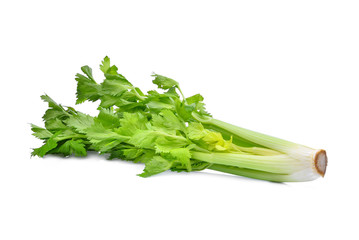 green celery vegetable isolated on white background