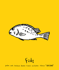 해산물 일러스트 / 손으로 그린 수산물 그림