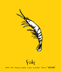 해산물 일러스트 / 손으로 그린 수산물 그림