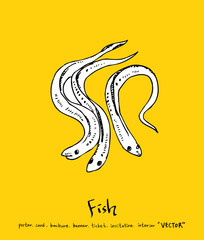 해산물 일러스트 / 손으로 그린 수산물 그림