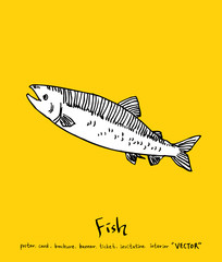 해산물 일러스트 / 손으로 그린 수산물 그림