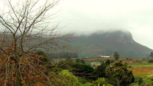 Pull Focus on winefarm outside of Ernie Els wine estate in Stellenbosch on a cloudy day