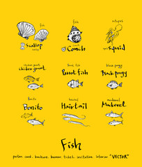 해산물 일러스트 / 손으로 그린 수산물 그림