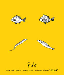 해산물 일러스트 / 손으로 그린 수산물 그림