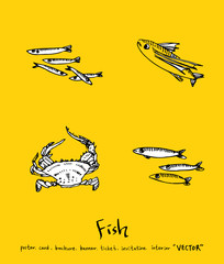 해산물 일러스트 / 손으로 그린 수산물 그림