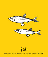 해산물 일러스트 / 손으로 그린 수산물 그림