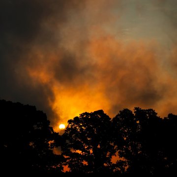 A vivid cloudy sunrise resembling a blazing forest fire