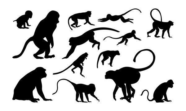 113 Wall Tattoo Jungle Animals Elephant Giraffe Panda Lazy Animal Monkey
