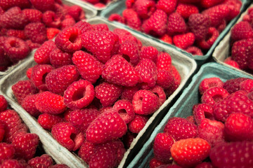 Fresh red raspberry