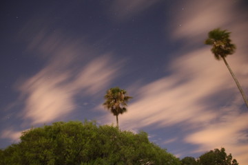 Fototapeta premium Starry Landscape 