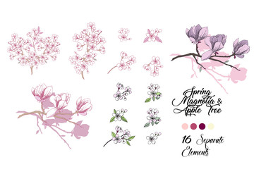  Spring Sakura and Magnolia Set. Hand drawn spring flowers