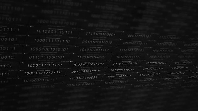 Black and White software application binary code processing commands 