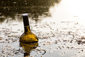 A wine bottle in  a lake. Message in a bottle. 