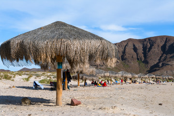 Sombrillas en la playa Balandra México.