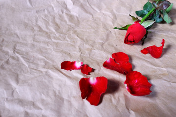 Red roses and petals on brown crumpled paper background, Top view.Valentine's day holiday concept. Copy space