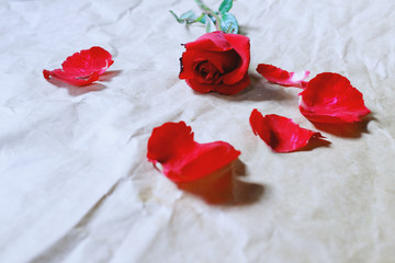 Red roses and petals on brown crumpled paper background, Top view.Valentine's day holiday concept. Copy space