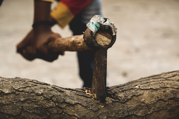 Man cutting Tree with Axe