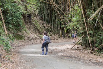 Obraz premium Hiking Photography