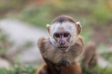 Finding your self in Colombia