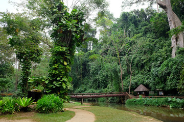 Beautiful nature forest with concrete bridge hanging bridge over the stream and mountain in Thailand