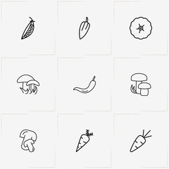 Vegetables line icon set with chili, tomato  and carrot