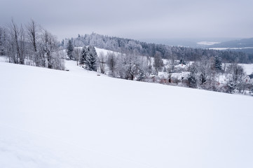 Obraz premium Fairy-tale winter scene. Village by the forest in the hills. The Bohemian-Moravian Highlands in Czech Republic