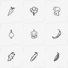 Vegetables line icon set with garlic , cucumber and mushrooms
