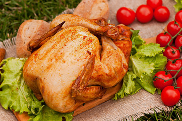 Baked chicken, on a green grass background. Natural food cooked on the grill.