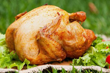Baked chicken, on a green grass background. Natural food cooked on the grill.