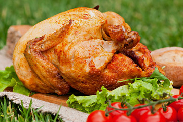 Baked chicken, on a green grass background. Natural food cooked on the grill.