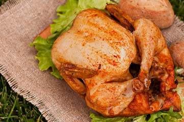 Baked chicken, on a green grass background. Natural food cooked on the grill.