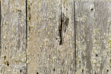 Holz Hintergrund mit vielen Altersspuren