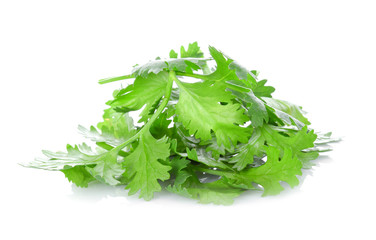 Coriander leaves on white background