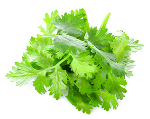 Coriander leaves on white background