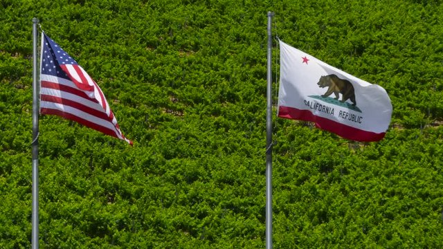 Flags USA and California in front of Vineyard