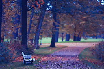 bench in autumn landscape / city park with orange trees on the branches, a street bench in autumn forest landscape,  alley. Concept of weekend in the city park