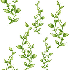 Watercolor seamless botanical leaves pattern