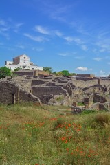 The ruins of Pompeii outside the city of Naples in Italy in May.