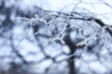 Blurred background defocus