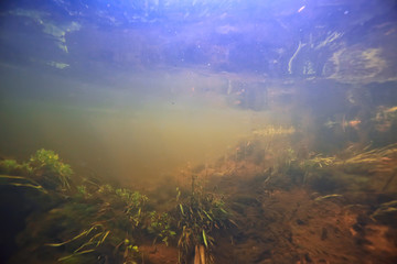 Obraz na płótnie Canvas underwater photo of freshwater pond / underwater landscape with sun rays and underwater ecosystem, algae and water lilies