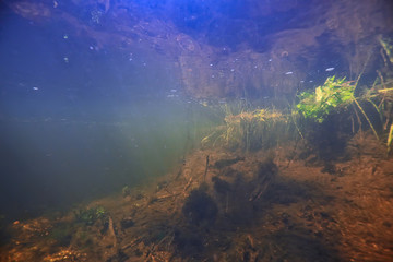 underwater landscape transparent lake / fresh water ecosystem unusual landscape under water