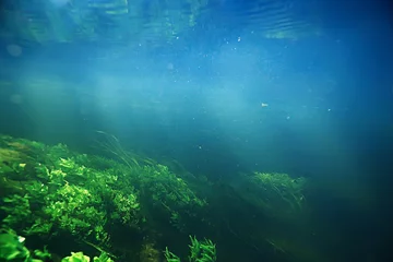 Tuinposter underwater freshwater green landscape / underwater landscape of the lake ecosystem, algae, green water, fresh water © kichigin19