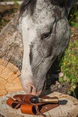 Wild West Horse - Revolver