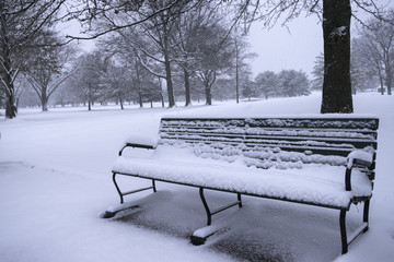 Bench with Snow